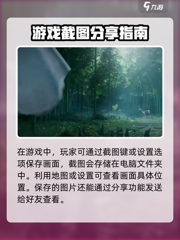 燕云十六声拍照保存的位置在哪介绍截图2