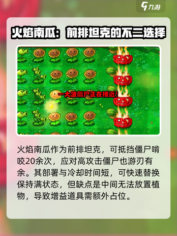 植物大战僵尸🔥火焰南瓜震撼登场！🔥截图4
