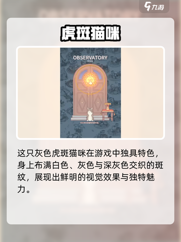 🎮《猫咪和汤》灰色猫咪养成秘籍大公开！截图2