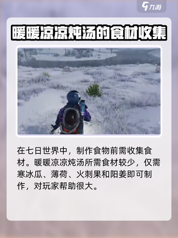 七日世界暖暖凉凉炖汤怎么做介绍截图2