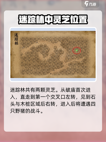 大侠立志传迷踪林灵芝在哪介绍截图2