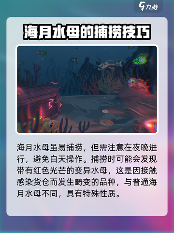 渔帆暗涌手游🔥海月水母抓取技巧大公开！截图4