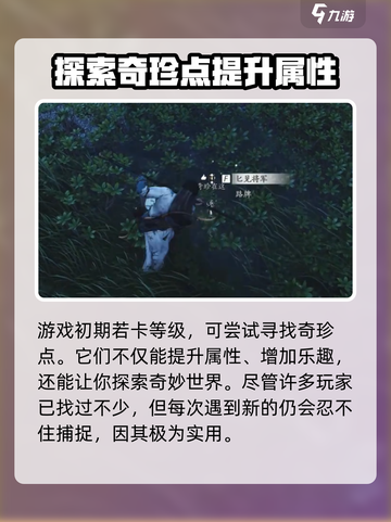 燕云十六声🔥奇珍系统全攻略💎轻松Get游戏宝藏！截图6