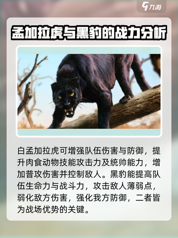 野兽领主新世界🔥队伍搭配秘籍/Game必备截图3