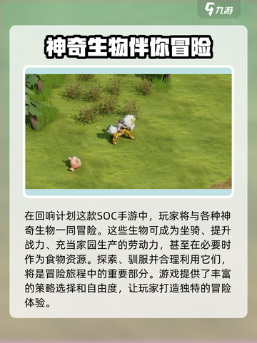 回响计划🔥上线时间曝光！公测倒计时🎉截图4