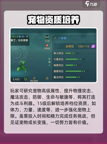 魔力宝贝复兴🔥宠物系统全面解析！💎截图3
