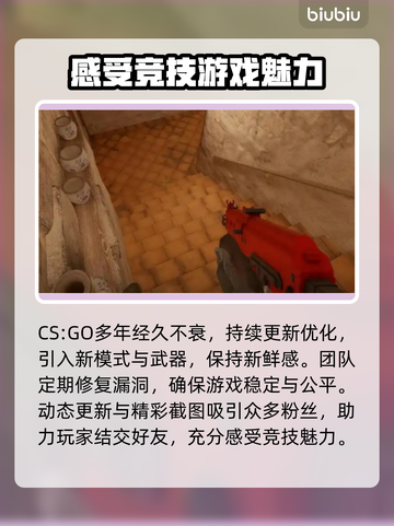 CSGO掉帧？用这款加速器🔥稳到飞起！🚀截图2