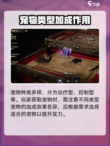 权力之望宠物培养攻略介绍截图4