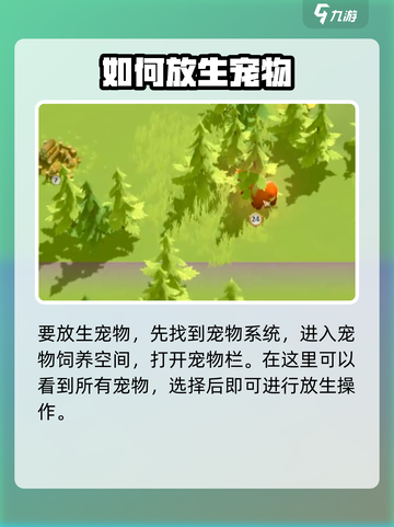 万龙觉醒如何放生宠物介绍截图2