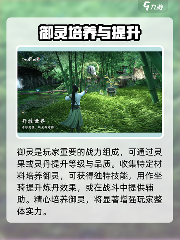 仙剑世界御灵是什么介绍截图4