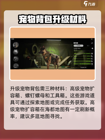 萤火突击💥宠物背包升级秘籍🔥背包容量轻松提升！截图3