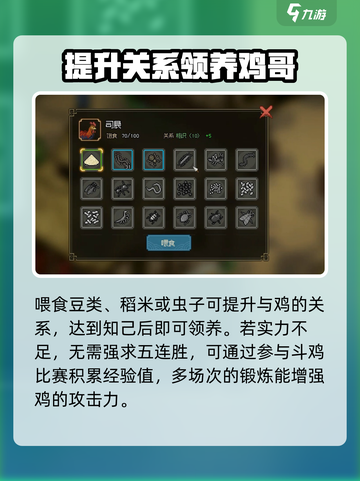 《大侠立志传》斗鸡玩法🔥超详细攻略来啦！截图4