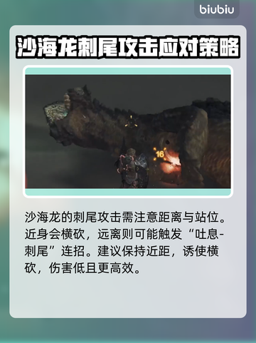 怪物猎人荒野🔥沙海龙打法超全攻略！截图6