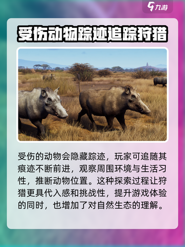 猎人之路怎么设置中文介绍截图4