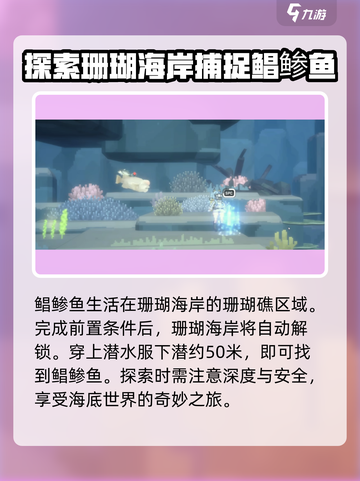 潜水员戴夫鲳鲹在哪介绍截图3