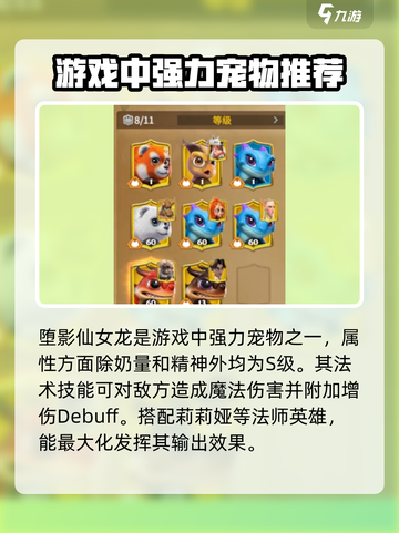 万龙觉醒🔥最强宠物搭配攻略来了！快来看看谁是王者ペット截图2