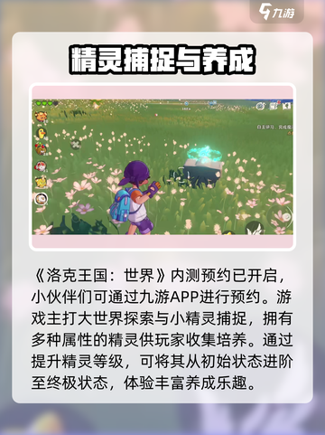 洛克王国世界内测资格获取指南介绍截图2