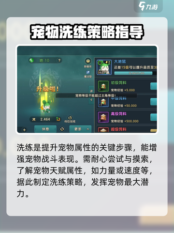 魔力宝贝复兴宠物洗练怎么做介绍截图2