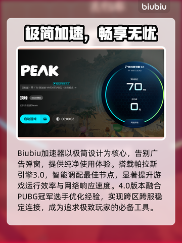 🎮Peak游戏卡顿到崩溃？真相曝光！截图4