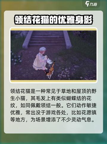 无限暖暖领结花猫在哪介绍截图2