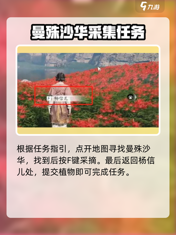 燕云十六声✨：花魁任务超详细攻略来啦！截图3