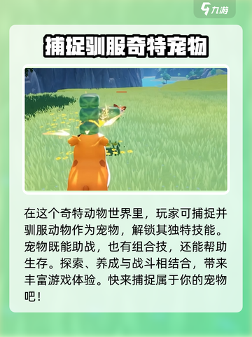 酷比大陆🔥超全攻略玩法分享，新手必看！截图3