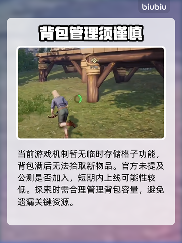 🔥《荒原曙光》背包神技曝光！✨截图2