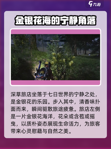 七日世界🔥金银花位置大曝光！速来打卡采集✨截图2