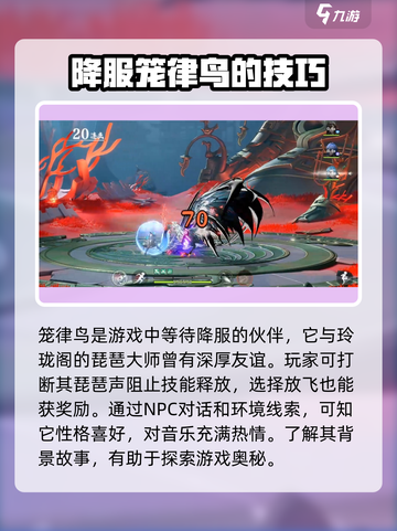 归龙潮笼律鸟怎么打介绍截图3
