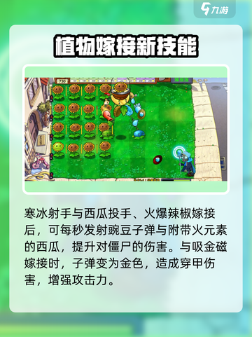 植物大战僵尸🔥超全嫁接版植物介绍来啦！截图3