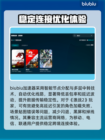 激战2黑屏闪退？用这个加速器🔥直接搞定！🎮截图3