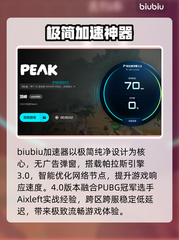 🔥Peak游戏卡顿？一招解决！🎮截图4
