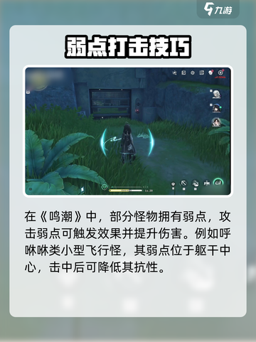 《鸣潮》怪物抗性全揭秘💥新手必看攻略！截图2