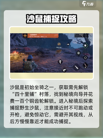 破碎之地🔥新手必看！坐骑选择全攻略🐎截图3
