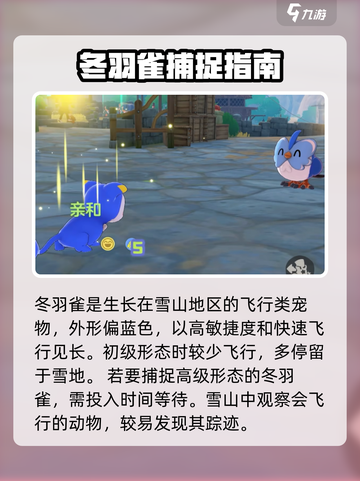 洛克王国世界冬羽雀怎么捕捉介绍截图2