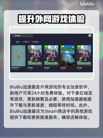 泰拉瑞亚闪退？用这个加速器🔥立马解决！截图3