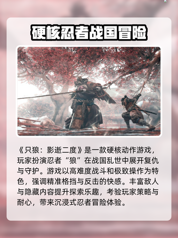 🎮只狼黑屏进不去？一招解决！截图2
