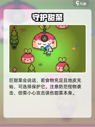 浮岛冒险甜菜岛惊现大甜菜！🌱截图3