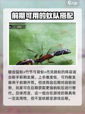 小小蚁国全运输蚁阵容怎么搭配介绍截图3