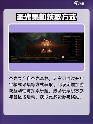 龙息神寂圣光果是什么介绍截图3