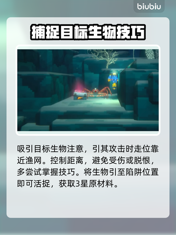 游戏《潜水员戴夫》螃蟹三星抓捕技巧🔥螃截图5