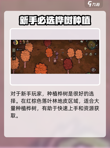 🔥饥荒新家园：营地种桦树攻略💎截图2