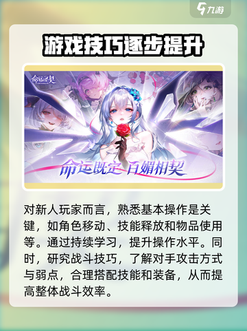 命运圣契🔥新手必看！玩转命运圣契全攻略💎截图5