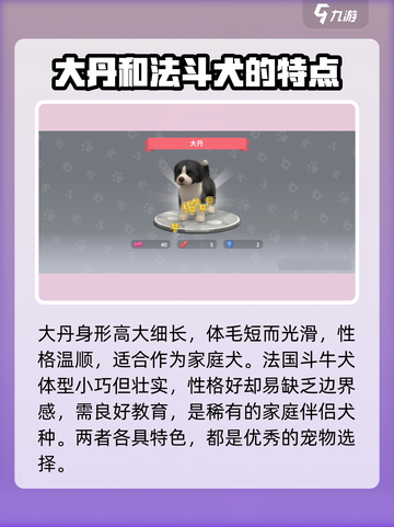 梦幻小狗游戏中稀有狗有哪些介绍截图5