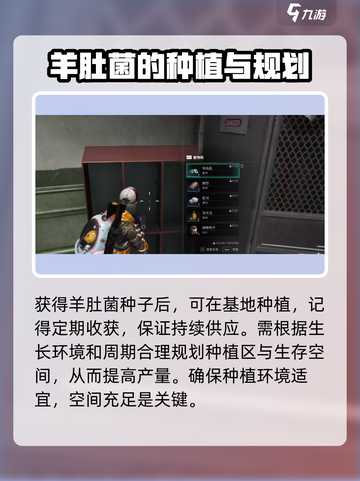 七日世界羊肚菌有什么用介绍截图4