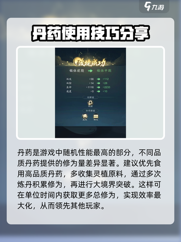 踏风行丹药怎么用介绍截图2