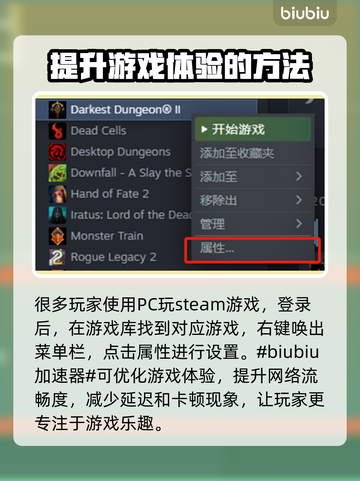 暗黑地牢2⚡加速设置教程+代码分享🎉截图2