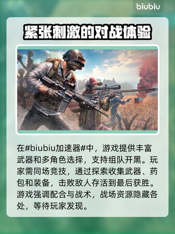 PUBG闪退？❌加速器下载地址大公开！🚀截图2