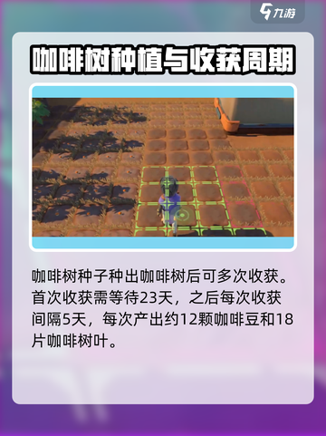 沙石镇时光💥咖啡树种子获取方法与收获时间☕截图4
