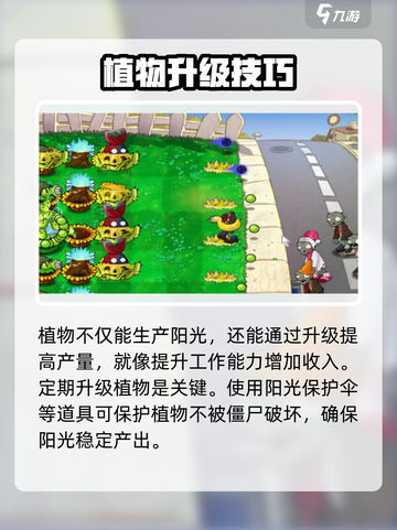《植物大战僵尸杂交版》阳光自动收集攻略✨截图3